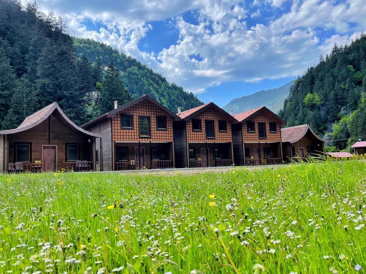 Raha Villa Bungalow Hồ Uzungöl Ngoại thất bức ảnh