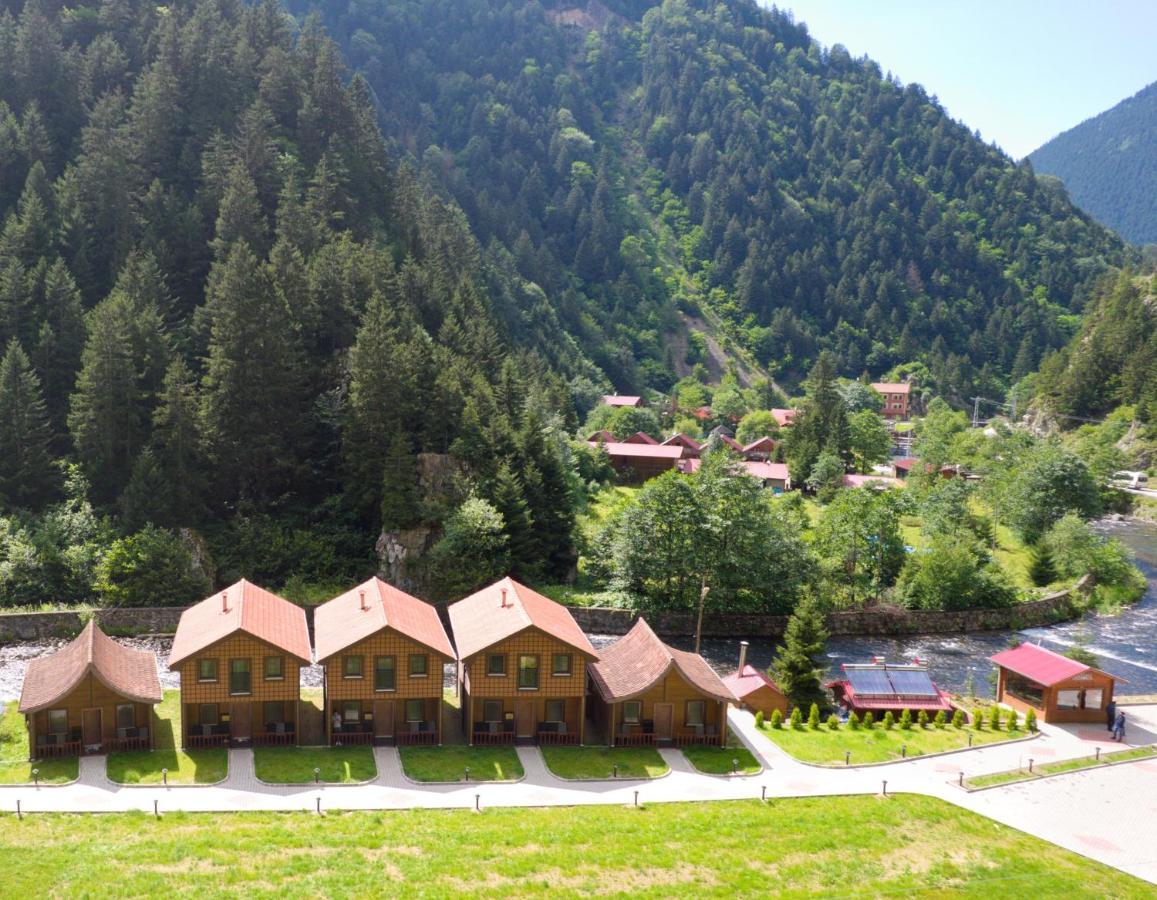 Raha Villa Bungalow Hồ Uzungöl Ngoại thất bức ảnh