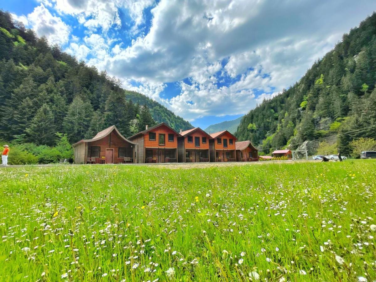 Raha Villa Bungalow Hồ Uzungöl Ngoại thất bức ảnh