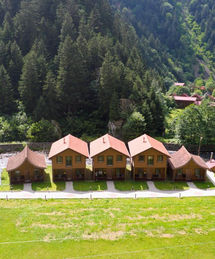 Raha Villa Bungalow Hồ Uzungöl Ngoại thất bức ảnh